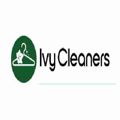 ivycleanersmilpitas Profile Picture