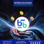 Bitbse Exchange Profile Picture