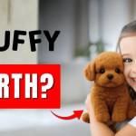 Koiljtjaaa Profile Picture