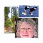 Sharono Connell Profile Picture