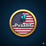 pvaallit. com Profile Picture