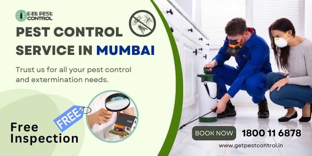 Pest Control in Mumbai | Best Rates & Verified Services