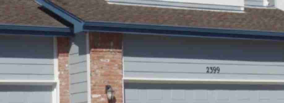 Pro Classic Painting Cover Image