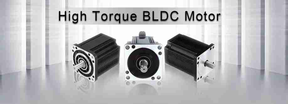 BLDC Electric Motor Supplier Brushless Inc Cover Image