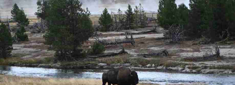 Martinworster Photography Cover Image