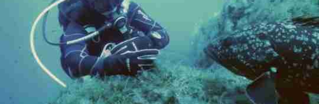 Japanese Car Removals Cover Image