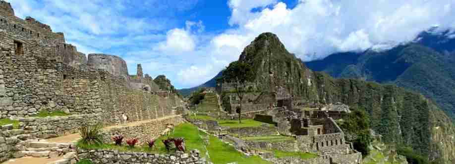 Sparrow Explorer Cover Image