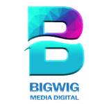 BigwigMediaDigital Profile Picture