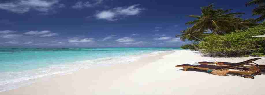 bookflight strip Cover Image