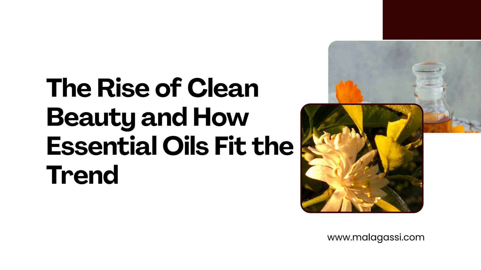 The Rise of Clean Beauty and How Essential Oils Fit the Trend by Malagassi Essential oils - Issuu