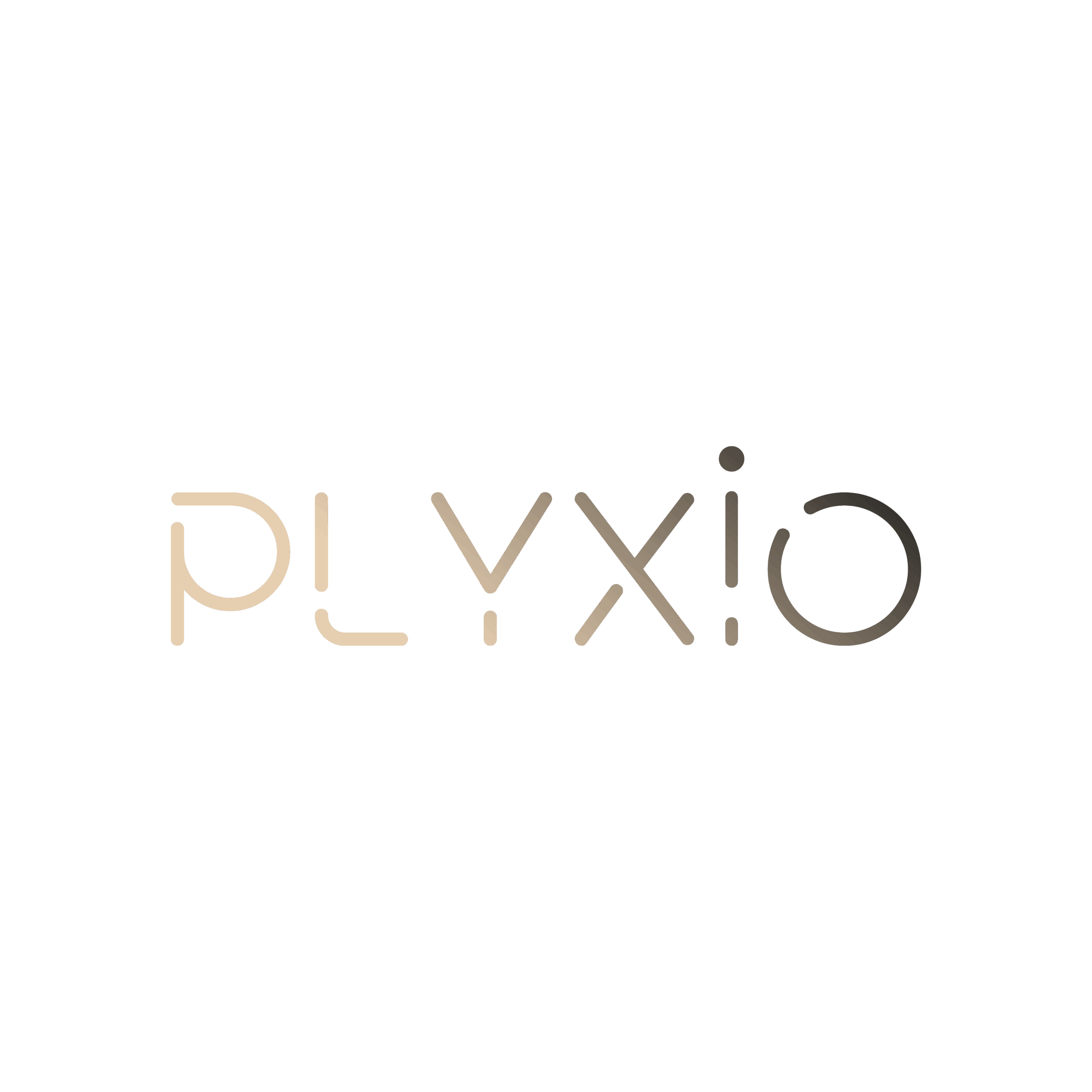 PLYXIO | Digital Marketing Agency