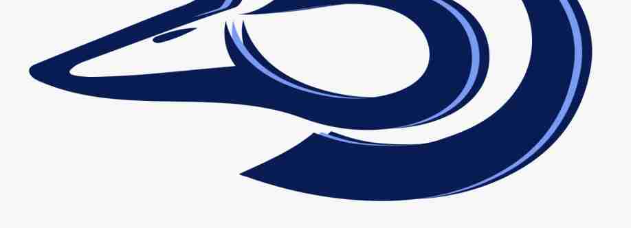 Innovative ducks Cover Image