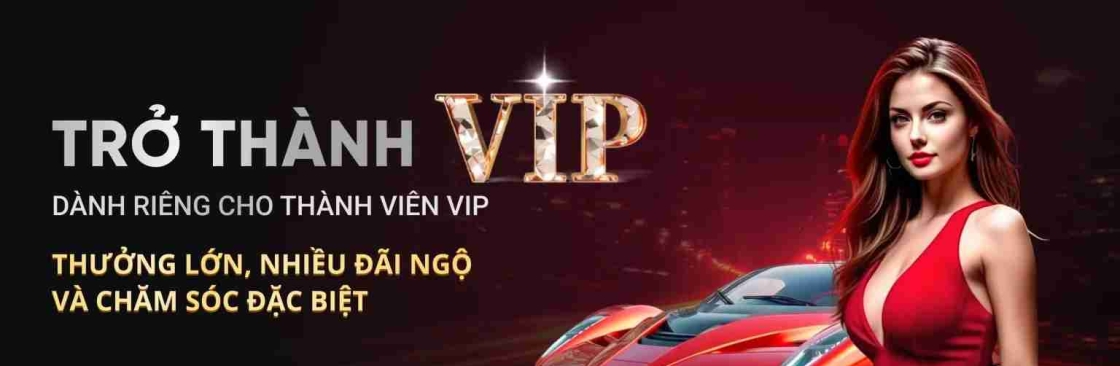 DABET 6NET Cover Image