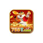 755t Profile Picture