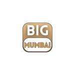 Big Mumbai Games Profile Picture
