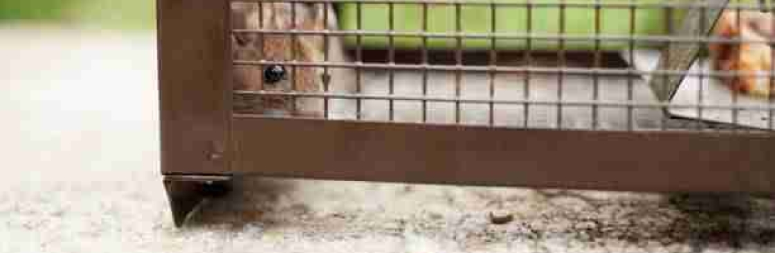 Pest Bye Cover Image