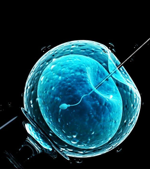 Blastocyst Transfer Implantation: A Complete Guide to Improving IVF Success with Dr. Archana Dhawan Bajaj – @ivfdoctordelhi on Tumblr