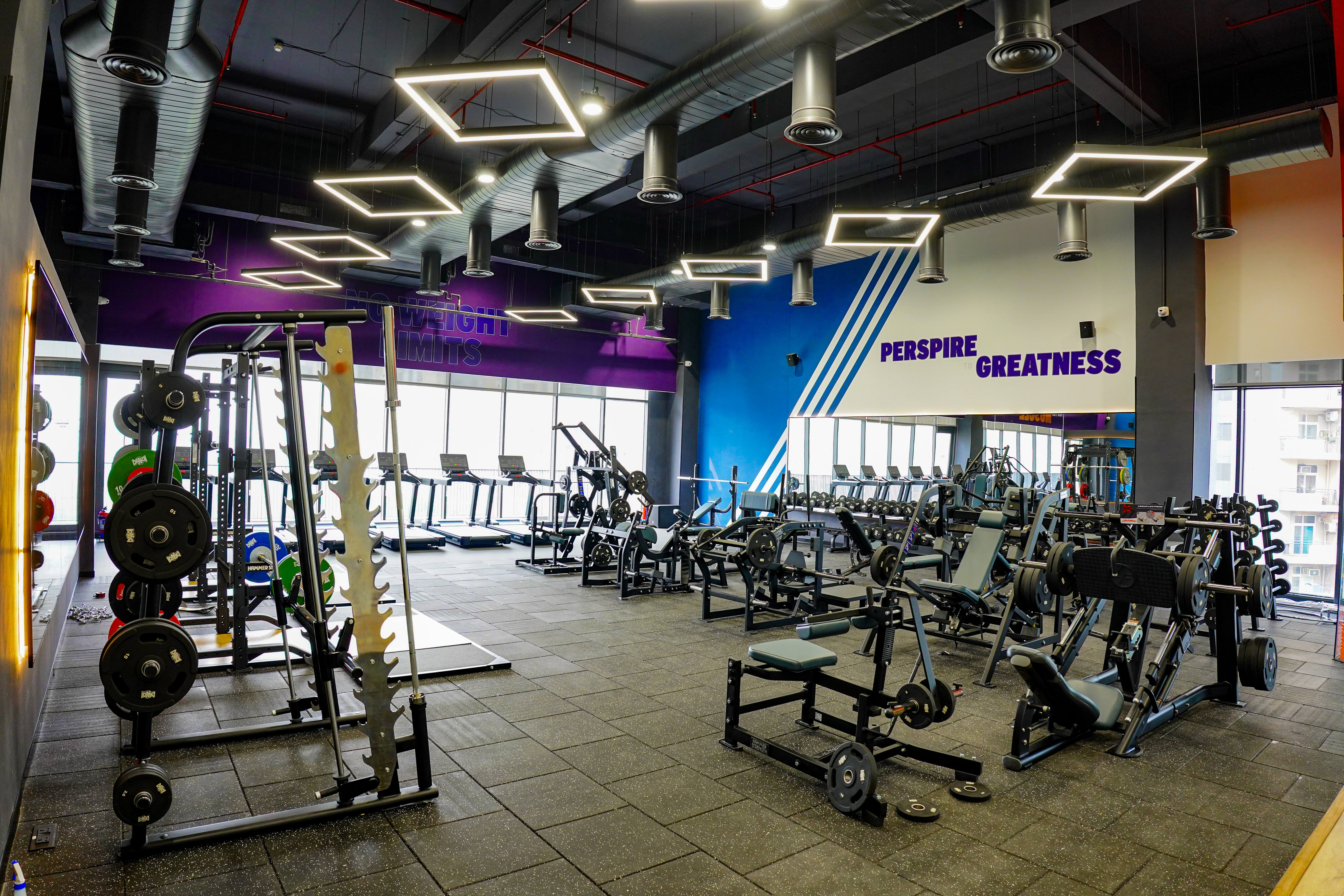 Best Gym Franchise Models for First-Time Business Owners