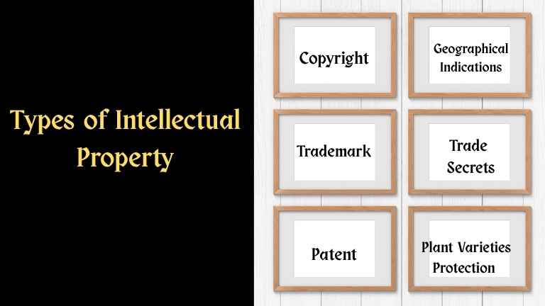 A Complete Guide of Types of Intellectual Property