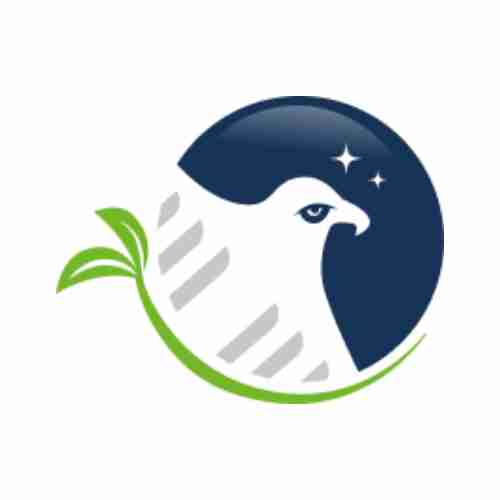 Gray Eagle Painting Profile Picture