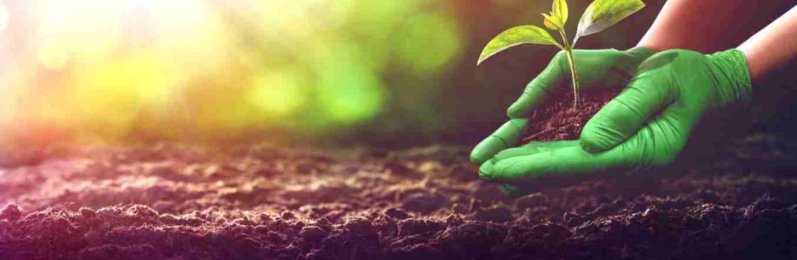 MDS Associates Inc. Cover Image