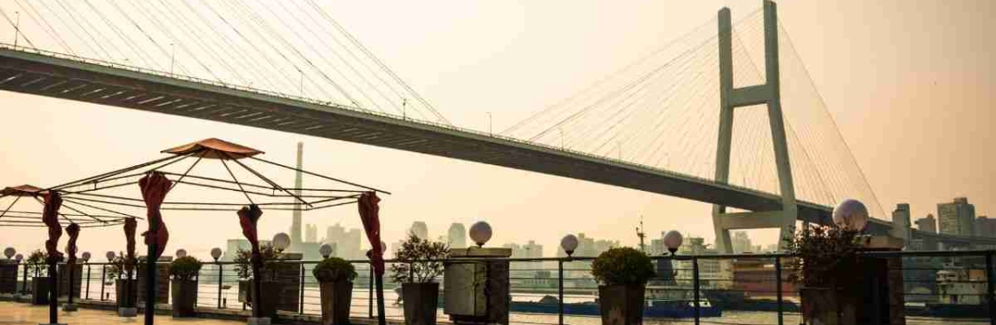 Anish Roy Cover Image