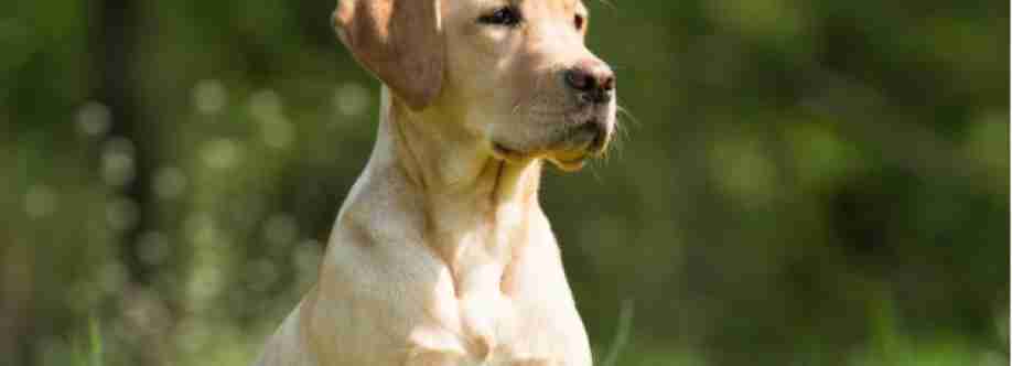 Prestige K9 Cover Image