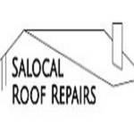 SALocal Roof Repairs Profile Picture