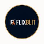 About FlixBlit – A Creative Blog Profile Picture