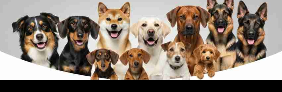 Pro Petset Cover Image