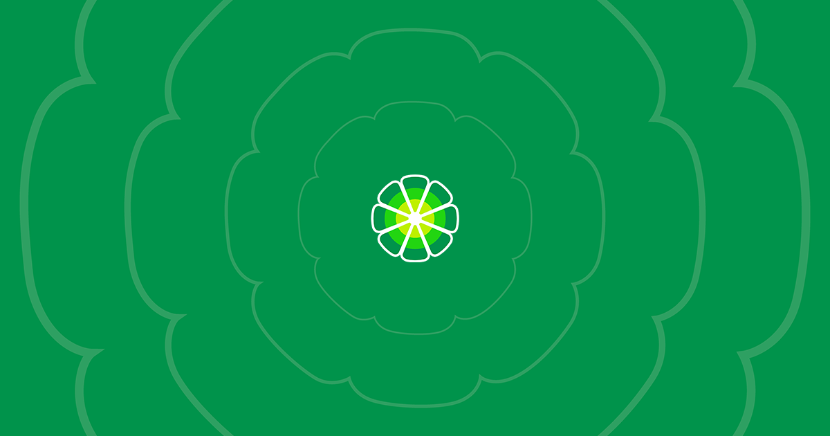 New Passport Application: Documents, Process & Timeline