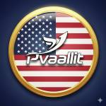 pvaallit gn profile picture