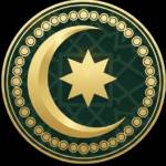 daily islamic Profile Picture