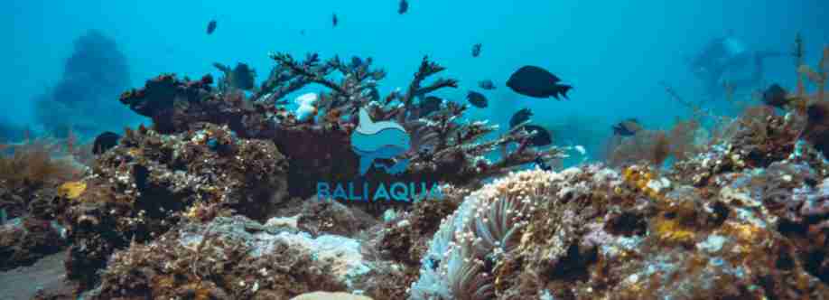 Bali Aqua Cover Image