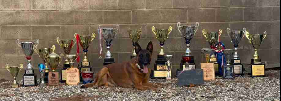 Prestige Protection Dogs Cover Image