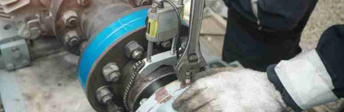 SMS Pumps and Engineers Cover Image