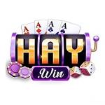 Haywin Profile Picture