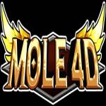 Mole4D Profile Picture