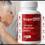 NathanhjjFountain Profile Picture