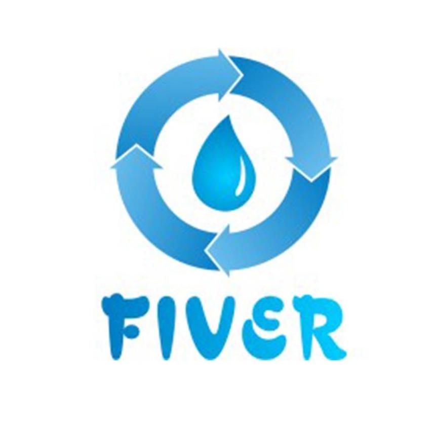 FIVER Environment
