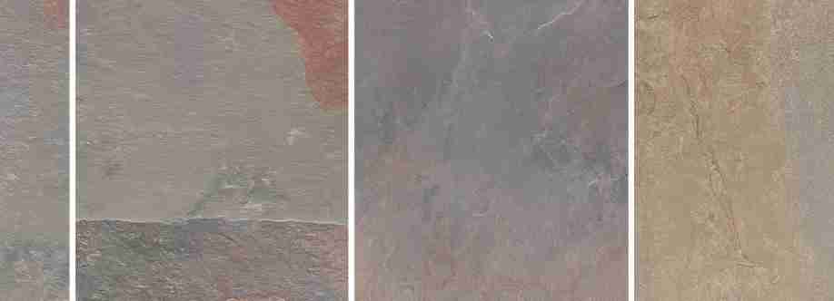 Shanthari Exports Cover Image