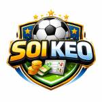 Soikeo jp net Profile Picture