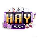 HAYWIN profile picture