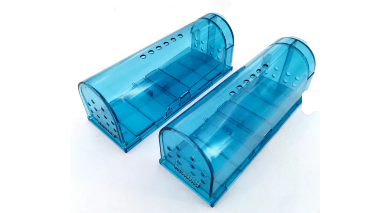 Rat Traps for Sale in Dungannon: Reliable Solutions for Effective Rodent Control – Pest Control Shop NI