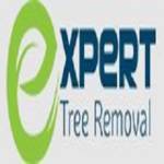 Expert Tree Removal Profile Picture