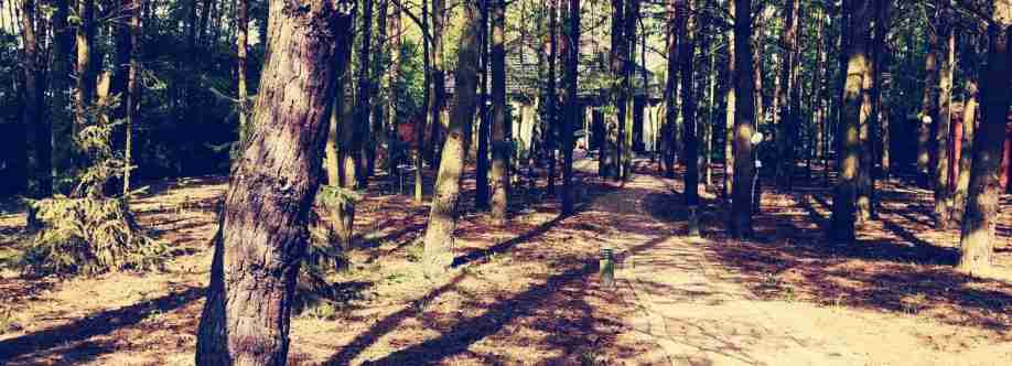 Dom Warsztatow Cover Image