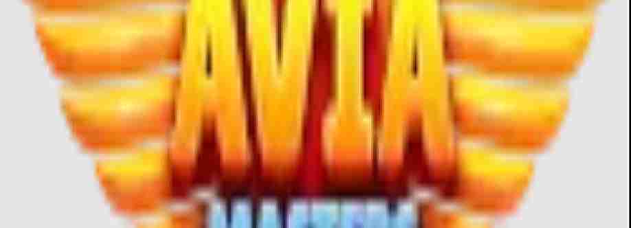 aviamastersonlinefr Cover Image