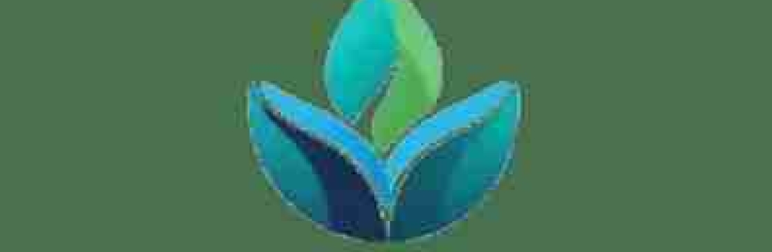 Relivex USA Cover Image