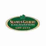 seamusgilbert excavation Profile Picture