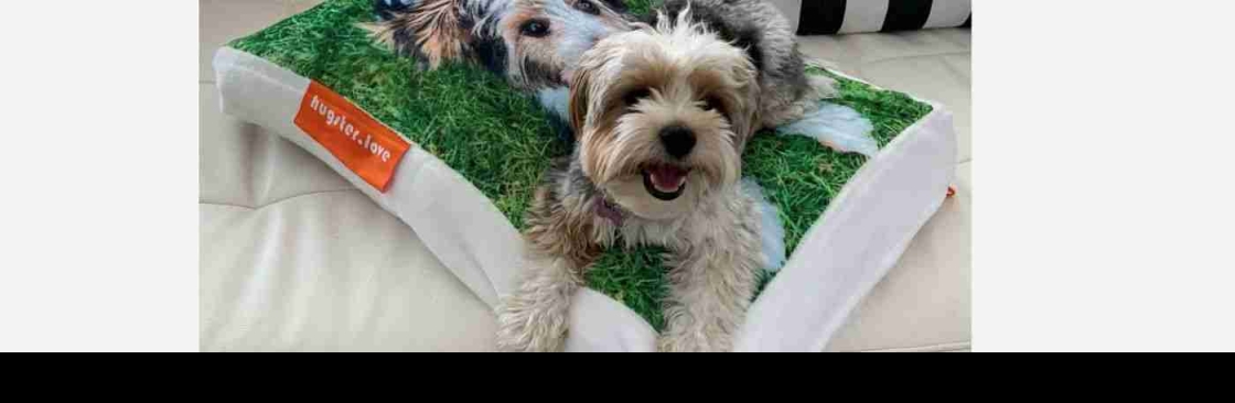 hugsterlove hugsterlove Cover Image